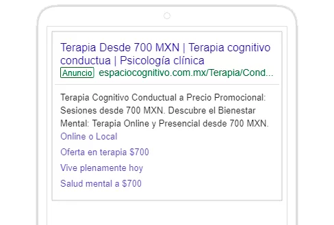 portafolio-Google-search-3-espaciocognitivo